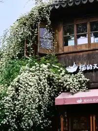 蘇州4月賞花｜四月平江路頂流，木香花開了