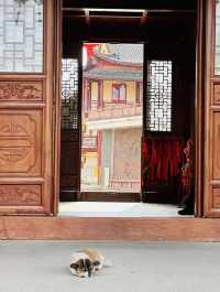 芜湖廣濟寺位於安徽省芜湖市赭山西南麓，是一座歷史悠久的佛教寺廟