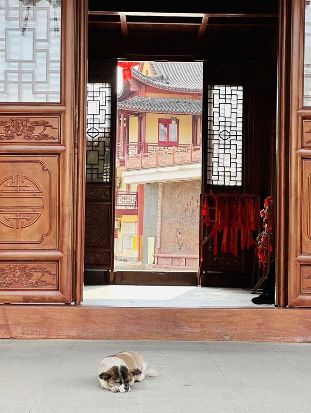 芜湖廣濟寺位於安徽省芜湖市赭山西南麓，是一座歷史悠久的佛教寺廟