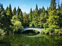 東平國家森林公園是華東地區最大人工森林