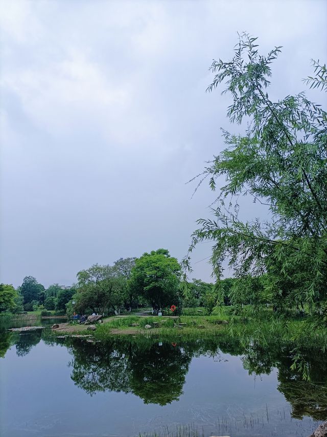 錦城湖公園成都綠道 | 騎電瓶車行不行 錦城湖公園成都綠道 | 騎電瓶車行不行