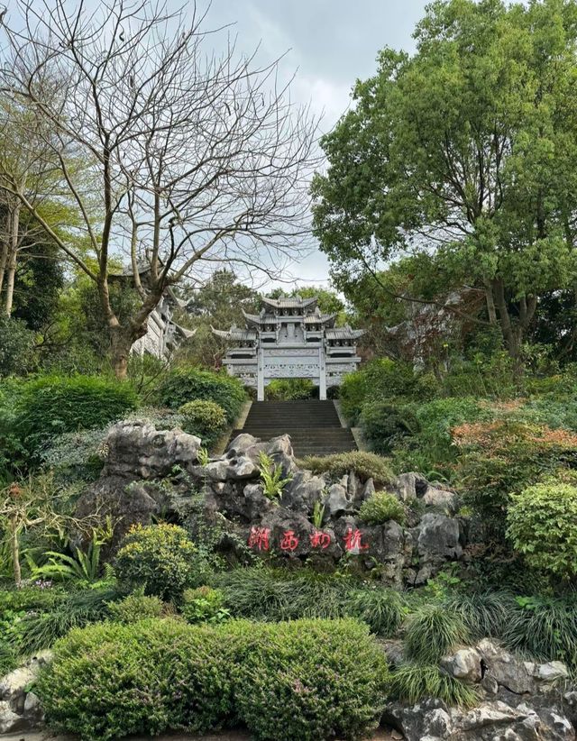 走進南寧園博園，領略多彩風情，打卡每一處奇妙風景