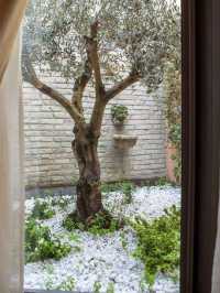 🌟 Modena's Marvel: Cozy Corners & Culinary Delights 🌟