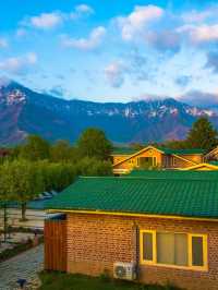 🌸 Srinagar's Serene Stay: Orchard Retreat & Spa 🌸