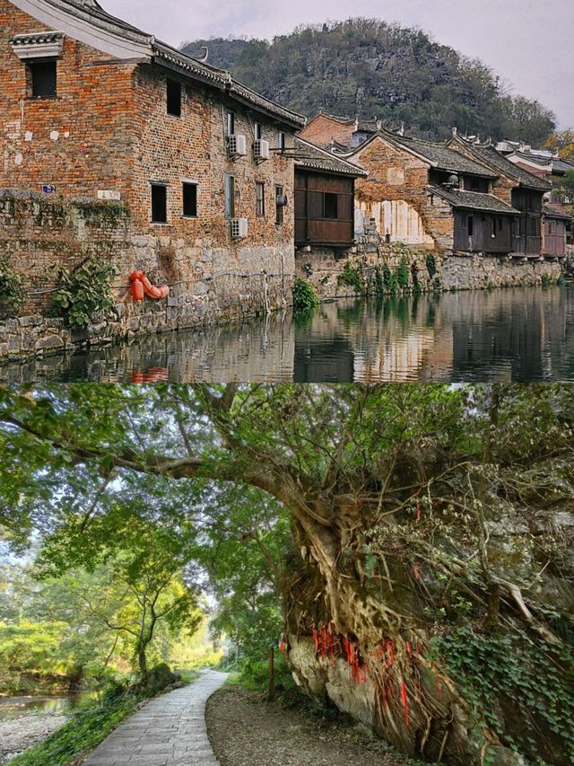 游永州｜上甘棠村——小眾又寶藏，精準避開人流