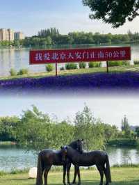 大湖公園值得大家去打卡………