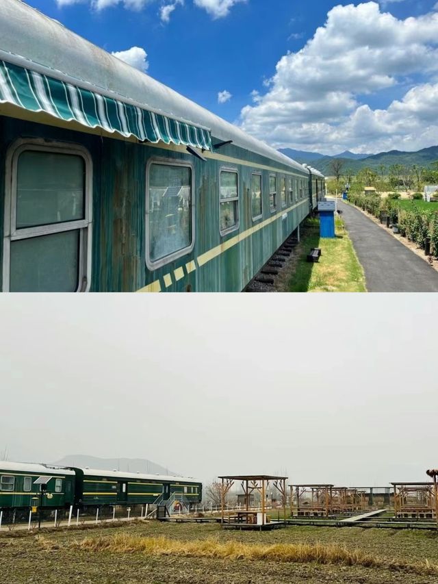 袁夫稻田農場實地測評