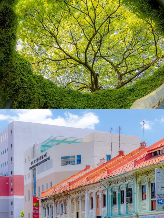 新加坡旅遊，你必須知道的事！
