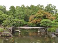 D8姬路（山陽電鐵本線行）—神戶