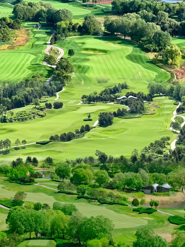 京郊小瑞士天然氧吧！超美自然油畫雁棲湖