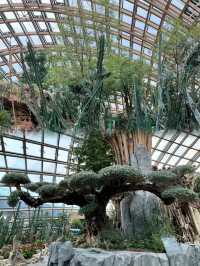 太原植物園，真不愧為天王嫂“昆凌”打卡的地方