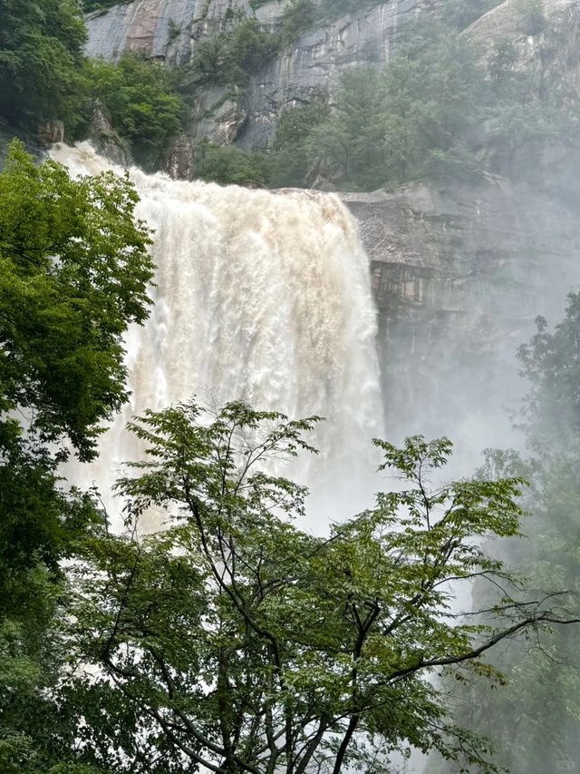洛陽白雲山森林氧吧：一場心靈的洗禮
