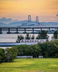 夏日再出發深圳，機場附近的寶安紅樹林公園我拍到了人生瞬間畫