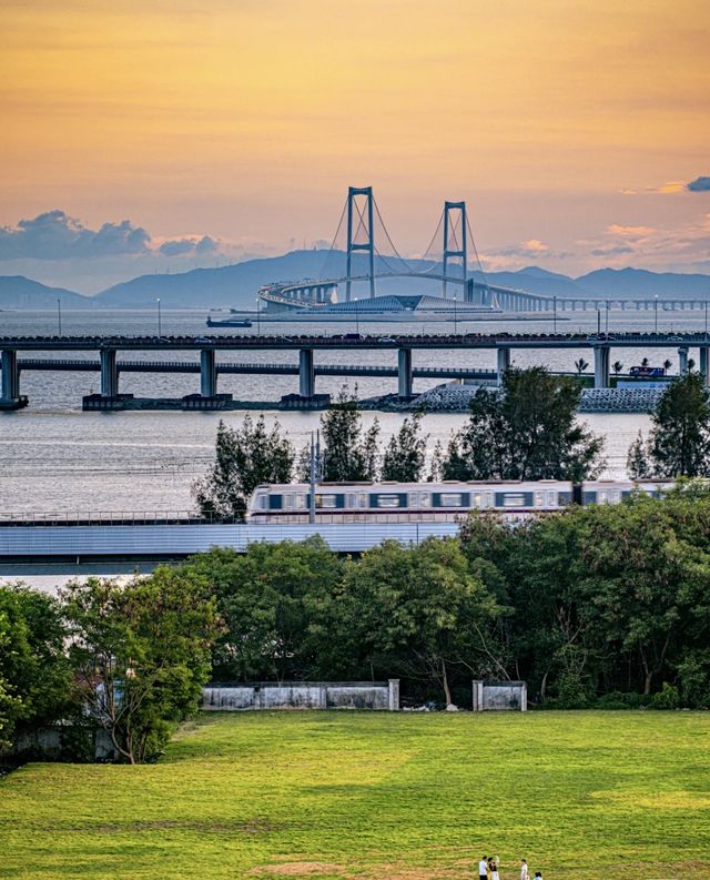 夏日再出發深圳，機場附近的寶安紅樹林公園我拍到了人生瞬間畫