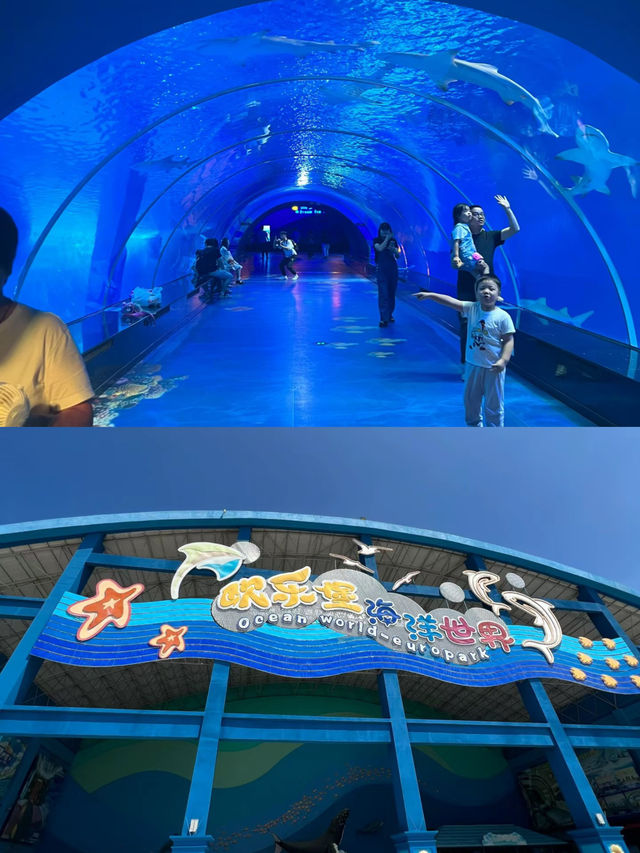 體驗一次難忘的2日海洋之旅。