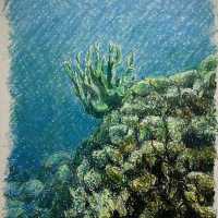 海之蒼穹