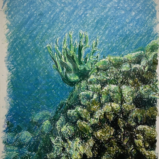 海之蒼穹