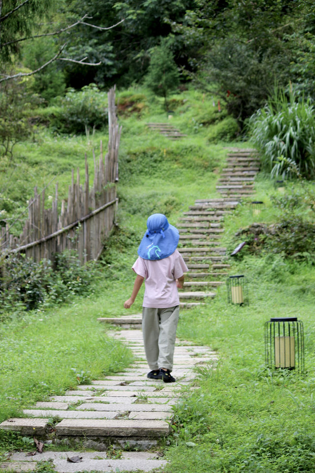 武功山歸來已老實 還得是被山野治癒