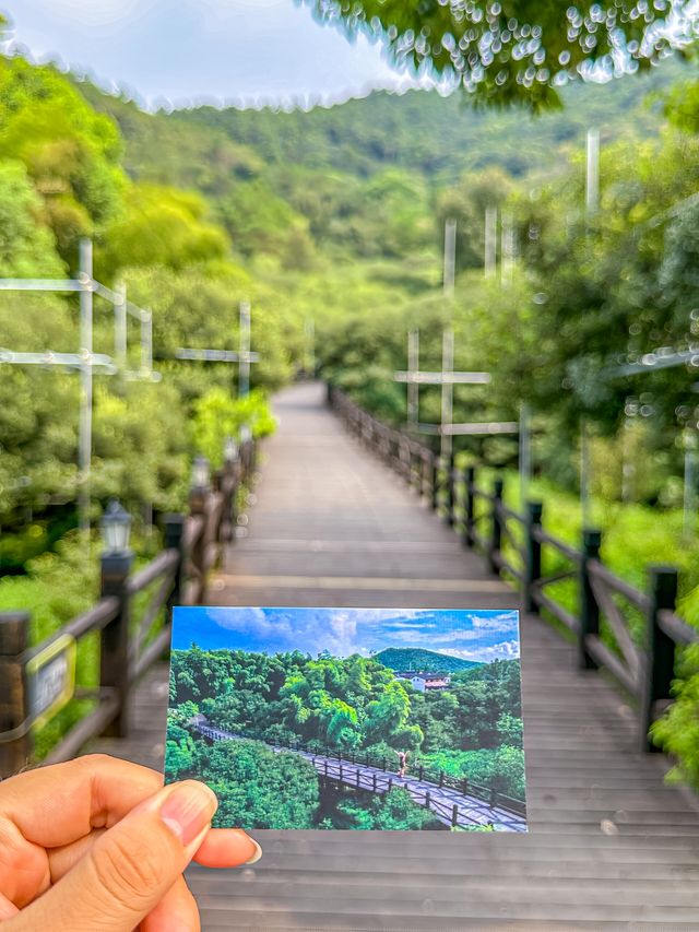 樹山里的溫泉酒店！立馬續住三天！！。