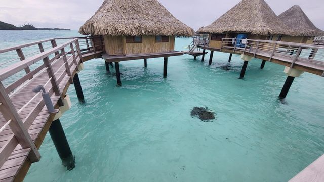 【天堂之選】大溪地波拉波拉島與馬爾代夫的夢幻對決。