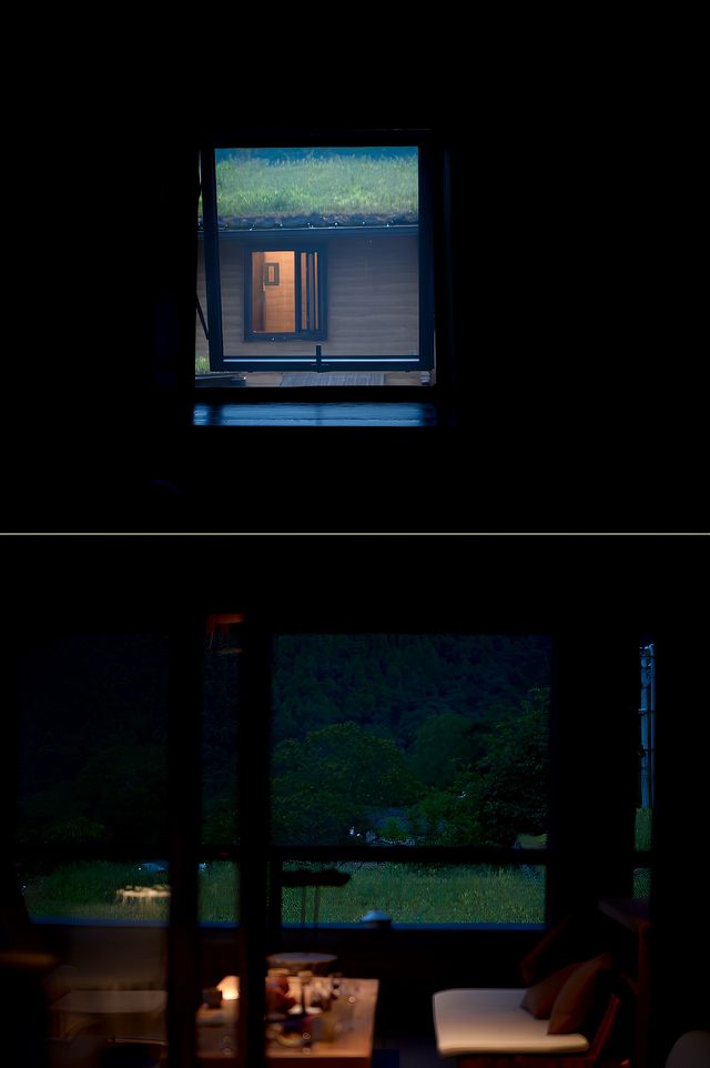 這家民宿有溫度和包容｜不排斥 全然接納才是真正的寵物友好。
