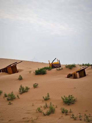 Explore Wuhai Lake, where the desert meets the water! 