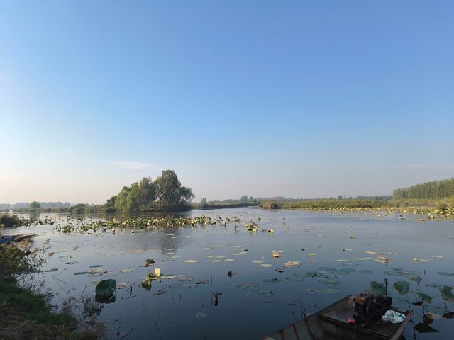 泰安東平湖。