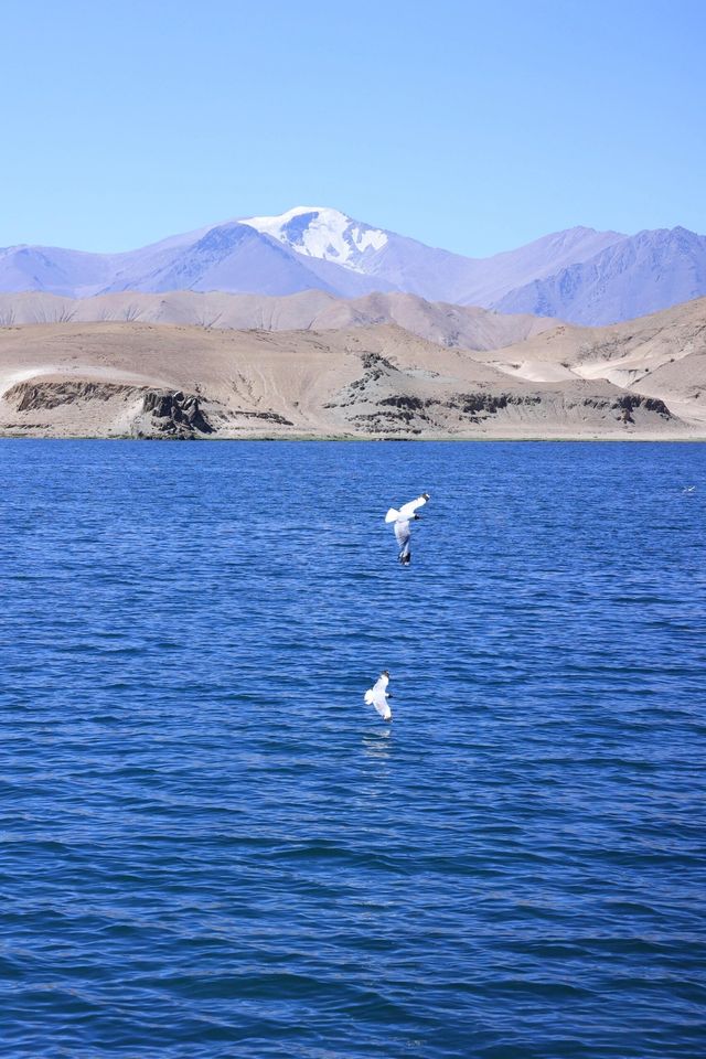 西藏班公湖｜一半鹹水 一半淡水湖。