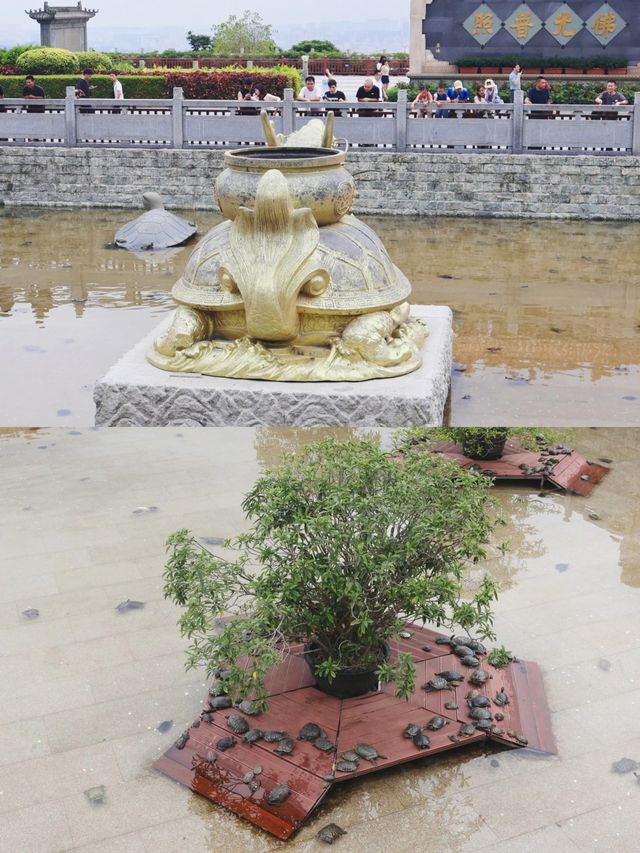 鳳凰山：神秘吸引力解密，你不知道的美麗景色。