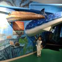 藍色大海的傳說 | 煙台海昌鯨鯊海洋公園。