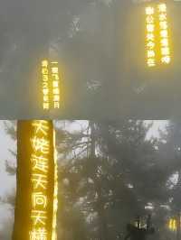 隱於天姥山谷！入住仙俠氣息濃厚的森林樹屋。