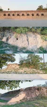 趕上夕陽的尾巴，欣賞粉黛花海。