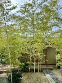 藤田美術館的靜謐花園：藝術與自然的和諧交融