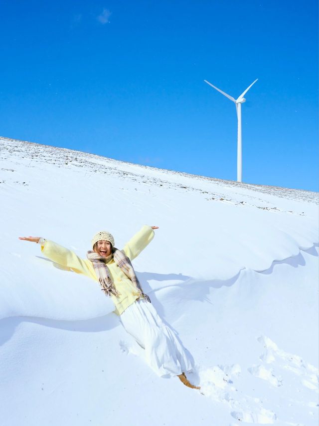 冬天的豐寧壩上，初雪黃葉超美！