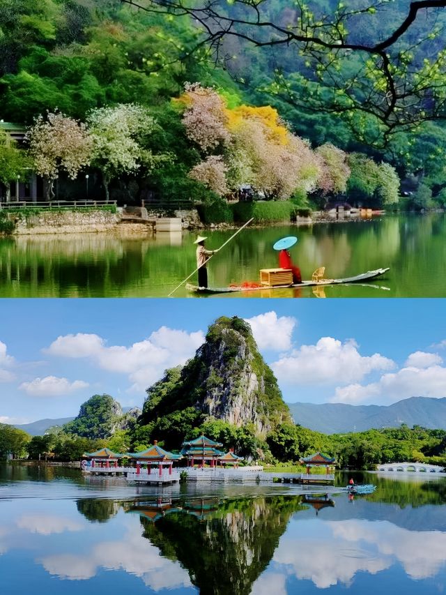 在肇慶星湖畔邂逅大自然的美妙時刻。