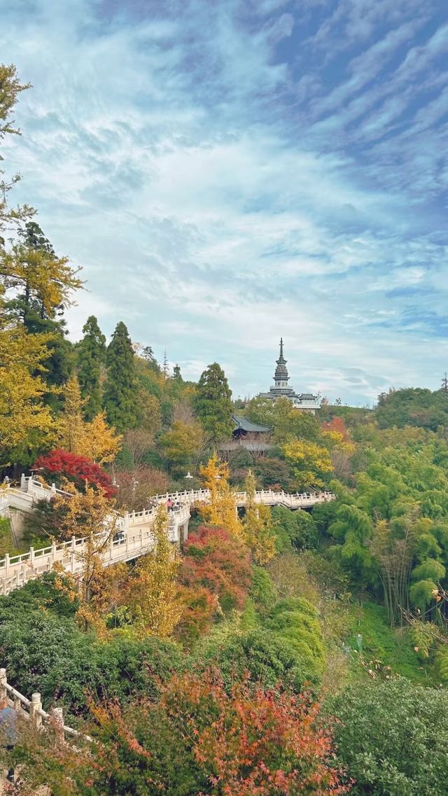 隋唐城遺址植物園。