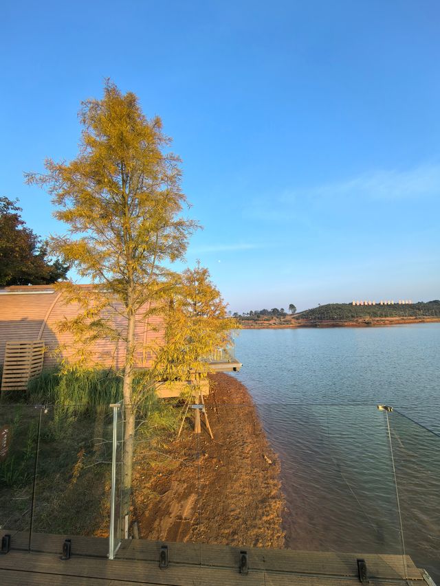 最近不忙，去趟祁陽，來唐家山油茶文化園度假。