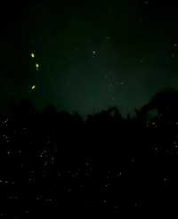 三天兩夜人均2k的亞庇。