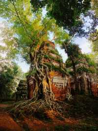 Prasat Pram: In The Possession of Jungle