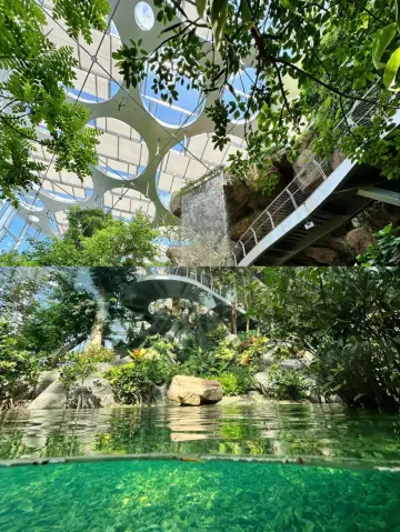 Shanghai with Kids | The Greenhouse Garden is the best indoor place to take kids in winter.
