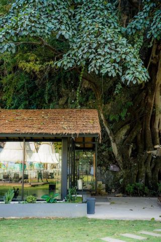 一次完美的體驗萬峰林兮谷露營地。