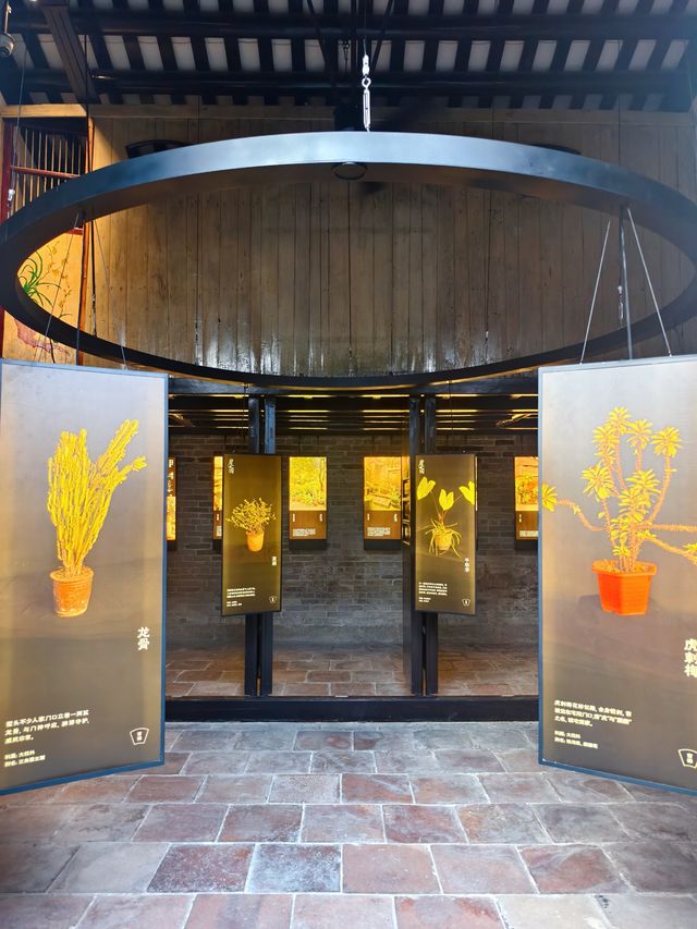花都塱頭村的悠閒氛圍，建議您午後來逛逛。