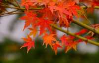 周末好去處——興慶公園。