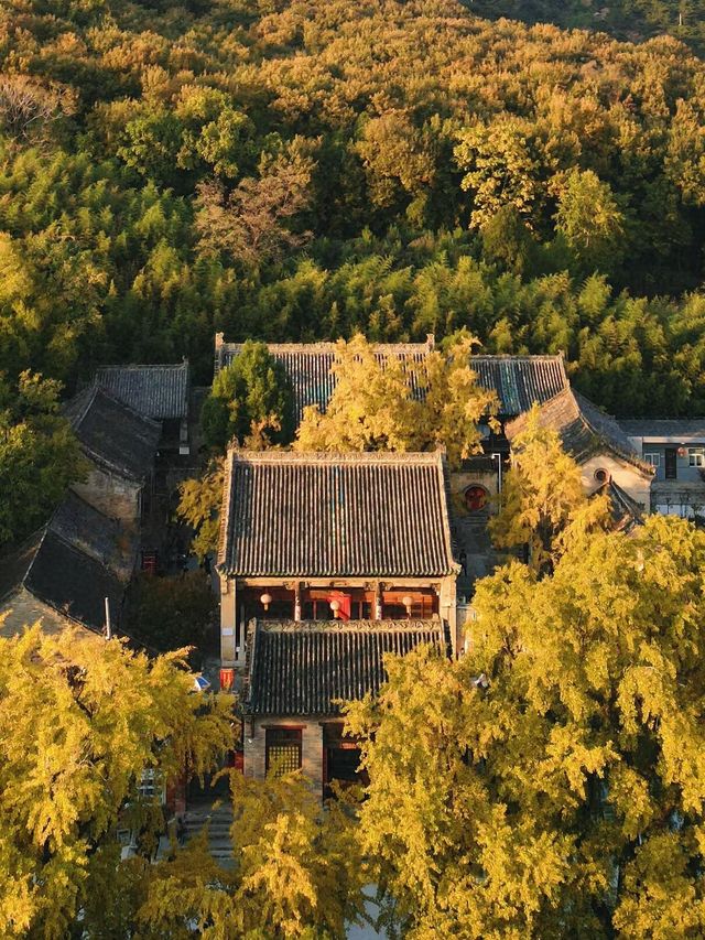 雲頂山寺賞銀杏攻略，周末出遊好去處。