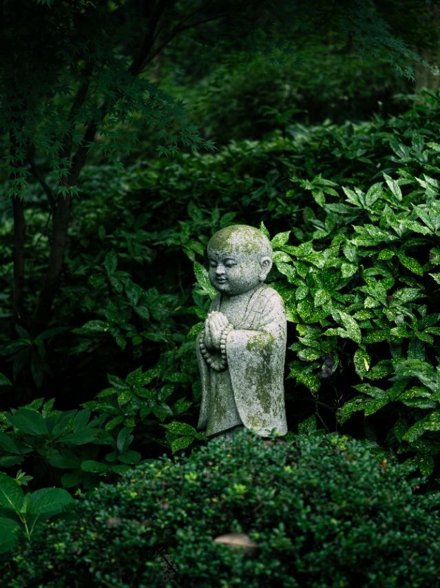 3日暢遊杭州-烏鎮-西塘秋天的詩意江南等你來。