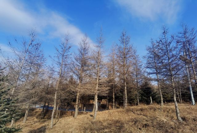 遙望東靈和北靈的觀景平台。
