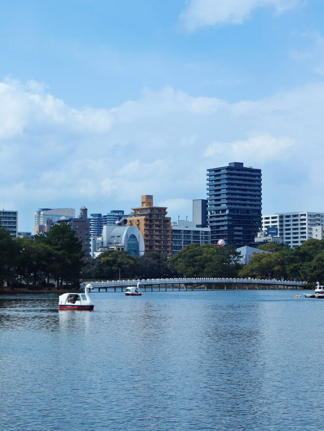 景色優美大濠公園全攻略🥰超級吸引❤️
