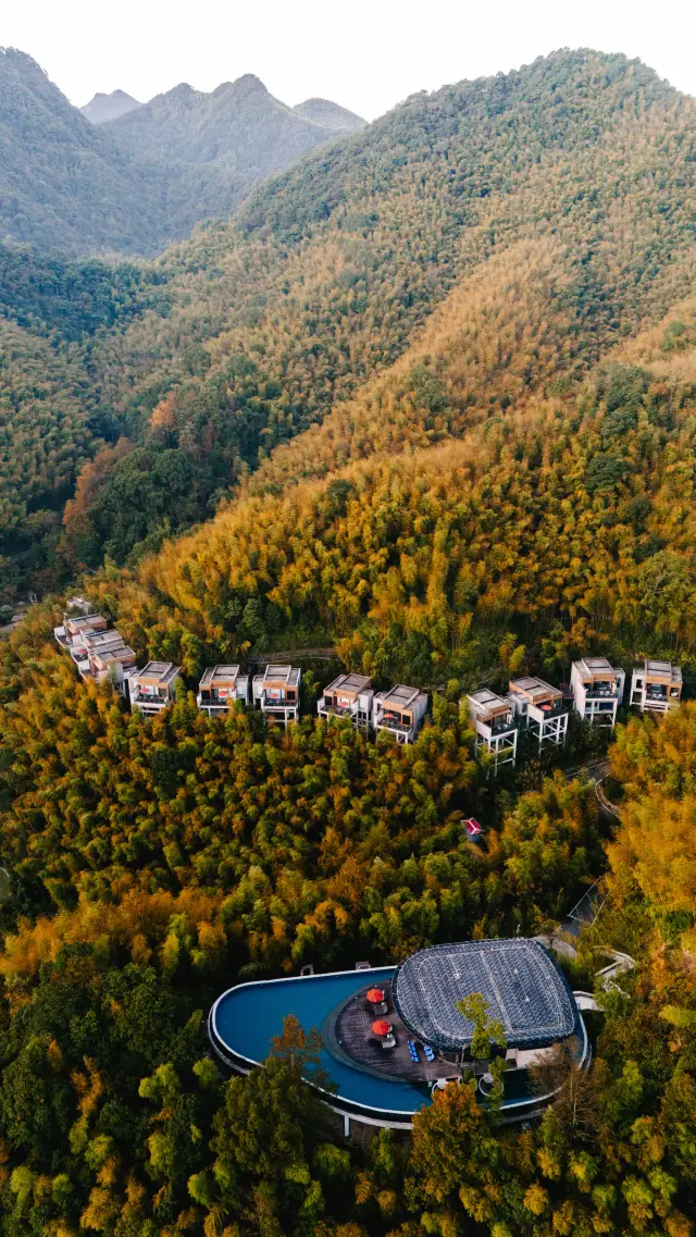 Hot Spring Healing Trip: Ninghai Anlan Winter Hot Pot is Fresh!