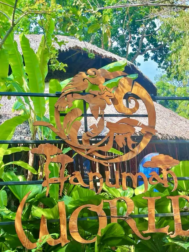 剛從普吉島回來|天際線叢林飛躍太刺激了!