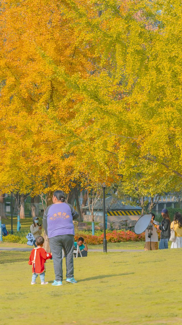武漢解放公園賞秋攻略！來這裡感受金秋的浪漫